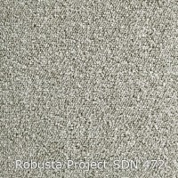 Robusta Project-SDN 472